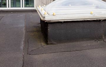 disadvantages of North Common flat roofs