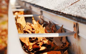 North Common gutter cleaning companies