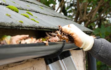 gutter cleaning North Common