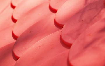 North Common plastic roof costs