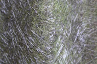 North Common fibreglass roof work